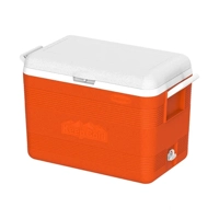 uae/images/productimages/cosmoplast-ind-company-llc/cold-storage-box/40l-keepcold-deluxe-icebox.webp