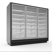 uae/images/productimages/creative-display-company-llc/chiller-cabinet/remote-vertical-freezer-2058-mm-910-mm-r404a.webp