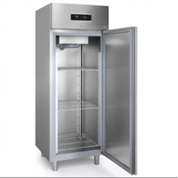 uae/images/productimages/creative-display-company-llc/commercial-freezer/sagi-single-door-freezer-fd70bt-135-kg.webp