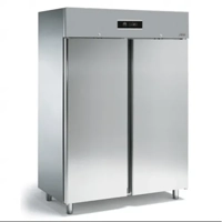 uae/images/productimages/creative-display-company-llc/commercial-freezer/sagi-ss-double-door-freezer-fd150bt-219-kg.webp