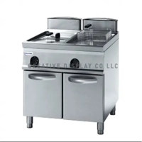 uae/images/productimages/creative-display-company-llc/frying-machine/electric-fryer-on-cabinet-17-17-l-3136083-77-4-kg.webp