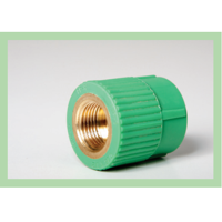 uae/images/productimages/dani-trading-llc/compression-coupler/raktherm-transition-piece-round-female-20-x-12-7-mm.webp