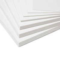 uae/images/productimages/danube-building-materials-fzco/plastic-sheet/pvc-forex-sheet-white.webp