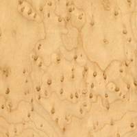 uae/images/productimages/danube-building-materials-fzco/plywood-board/birds-eye-maple-veneer-plywood.webp