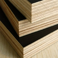 uae/images/productimages/dar-al-taqa-building-and-construction-material-trading-llc/plywood-board/birch-filmed-faced-plywood-18-mm.webp