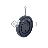 uae/images/productimages/defaultimages/noimageproducts/cepex-pvc-u-swing-check-valve.webp