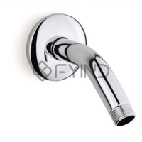 uae/images/productimages/defaultimages/noimageproducts/cp-shower-arm.webp