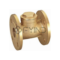 uae/images/productimages/defaultimages/noimageproducts/flanged-swing-check-valve-50-mm.webp