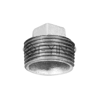 uae/images/productimages/defaultimages/noimageproducts/galvanized-iron-and-malleable-iron-screwed-fitting-plug.webp