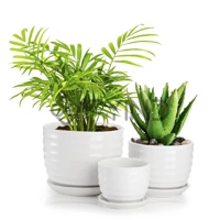 uae/images/productimages/defaultimages/noimageproducts/modern-flower-pot.webp