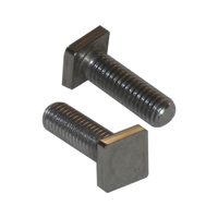 uae/images/productimages/defaultimages/noimageproducts/square-head-bolts.webp