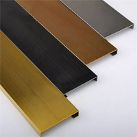 uae/images/productimages/defaultimages/noimageproducts/stainless-steel-skirting-boards.webp