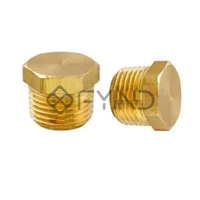 uae/images/productimages/defaultimages/noimageproducts/stopping-plug-brass-size-20-25-32-mm.webp