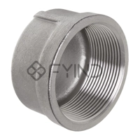 uae/images/productimages/defaultimages/noimageproducts/threaded-pipe-end-cap.webp