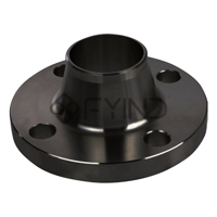 uae/images/productimages/defaultimages/noimageproducts/weld-neck-flange-sd-wf-rf10.webp
