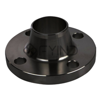 uae/images/productimages/defaultimages/noimageproducts/weld-neck-flange-sd-wf-rf25.webp