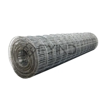 uae/images/productimages/defaultimages/noimageproducts/welded-wire-mesh-6-4-x-6-4-mm.webp