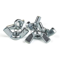 uae/images/productimages/defaultimages/noimageproducts/wing-nut-100-pcs.webp