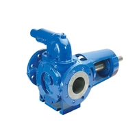 uae/images/productimages/desmi-pumping-technology-middle-east-branch/gear-pump/pd-internal-gear-pump.webp