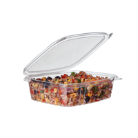 uae/images/productimages/detpak-middle-east-trading-llc/disposable-plastic-box/24-oz-rectangular-pla-deli-container-hinge-lid-clear-detpak-middle-east-trading-llc.webp