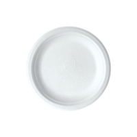 uae/images/productimages/detpak-middle-east-trading-llc/fibre-plate/7-inch-sugarcane-plate-white-178-x-178-mm-detpak-middle-east-trading-llc.webp