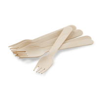 uae/images/productimages/detpak-middle-east-trading-llc/wooden-fork/fork-wooden-cutlery-brown-158-x-27-x-2-mm-detpak-middle-east-trading-llc.webp