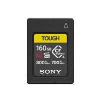 uae/images/productimages/digital-future-solutions/electronic-card-reader/sony-cea-g160t-memory-card-80-gb.webp