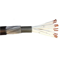 uae/images/productimages/digital-stout-innovation-&-trading-fze/control-cable/ducab-12c-x-1-5mm-sq-pvc-control-cable.webp