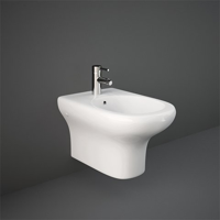 uae/images/productimages/dreamz-venture-international-trading-fzc/bidet/rak-compact-with-rak-protek-co339wha.webp