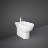 uae/images/productimages/dreamz-venture-international-trading-fzc/bidet/rak-tonique-tq14awha.webp