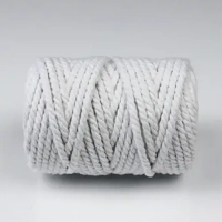 uae/images/productimages/dryad-general-trading-llc/fabric-cord/piping-cord-white-30-m-5-mm.webp
