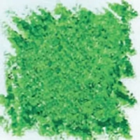 uae/images/productimages/dryad-general-trading-llc/oil-pastel/filia-oil-pastels-12-pcs-pkt-medium-green.webp