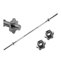 uae/images/productimages/dubai-sports-llc/barbell/regular-straight-bar-rb-84-84-in.webp