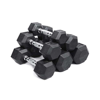 uae/images/productimages/dubai-sports-llc/dumbbell/pair-hexagonal-dumbbells-pgdhex-10-2-5-25-kg.webp