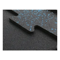 uae/images/productimages/dubai-sports-llc/rubber-mat/floor-mat-frx-800-2-5-kg.webp