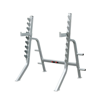 uae/images/productimages/dubai-sports-llc/squat-rack/squat-stand-sg-ss-130-159-kg.webp