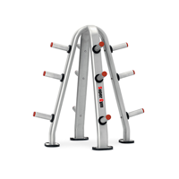 uae/images/productimages/dubai-sports-llc/weight-plate-rack/olympic-plate-tree-holder-sg-pt12-12.webp