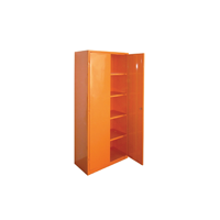 uae/images/productimages/durable-metal-industry-llc/industrial-storage-cabinet/industrial-storage-cabinet-d.webp