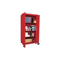 uae/images/productimages/durable-metal-industry-llc/industrial-storage-cabinet/mobile-stationery-cabinet.webp