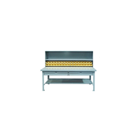 uae/images/productimages/durable-metal-industry-llc/workbench/work-statio-table-255.webp