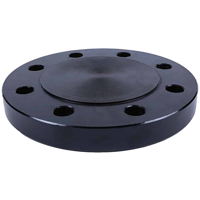uae/images/productimages/dxb-industrial-supplies-fze/blind-flange/blind-flanges-1-62-in.webp