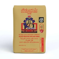 uae/images/productimages/e-delivery/cement/rak-sulfate-resistant-portland-cement-50-kg-bag.webp