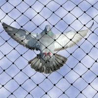 uae/images/productimages/eastern-wings-equipment/bird-netting/heavy-duty-bird-netting-mesh-3-4-inch.webp