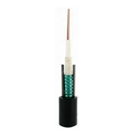 uae/images/productimages/ecs-global-wire-&-cable/fiber-optic-cable/dme-prolink-central-loose-tube-armored-outdoor-fiber-optic-cable.webp