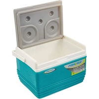 uae/images/productimages/element-middle-east-llc/ice-chest/pinnacle-ice-chest-4-5-litre.webp