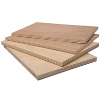 uae/images/productimages/emirates-trading-enterprises-llc/plywood-board/commercial-plywood-1220-x-2440-mm.webp