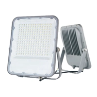 uae/images/productimages/en-light-electrical-lighting-llc/flood-light/led-flood-light-tm-p15150-150-watt.webp