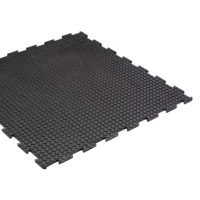 uae/images/productimages/euro-rubbertech-international-llc/rubber-floor-tile/safe-lock-studded-tile-1-x-1-m-15-5-kg.webp