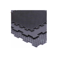 uae/images/productimages/euro-rubbertech-international-llc/rubber-mat/garage-mat-25-mm-50-x-50-cm.webp