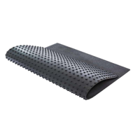 uae/images/productimages/euro-rubbertech-international-llc/rubber-mat/stable-mat-studded-comfort-1220-x-1830-x-17-mm-36-kg.webp